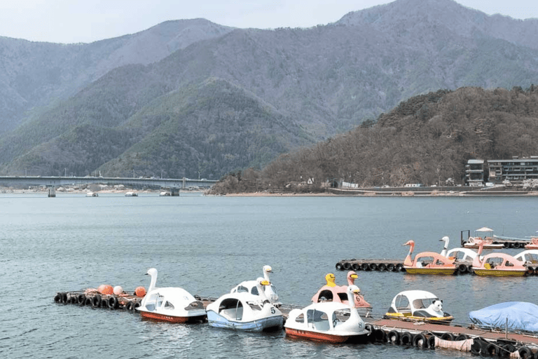 From Tokyo: Mount Fuji and Hakone Private Customizable Trip From Tokyo: Mount Fuji and Hakone Full Customizable Trip