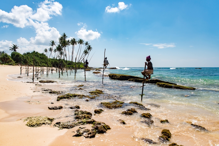 Bentota: Hoogtepunten Tour met strand dagtrip vanuit Colombo