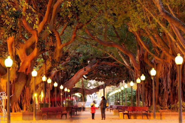 Alicante: passeio de patinete elétrico