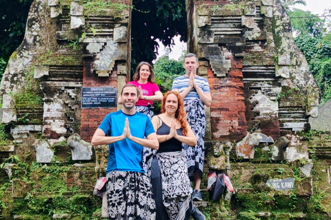 Ubud: Private Car Charter with Entry Fees Ubud Customizable Tour