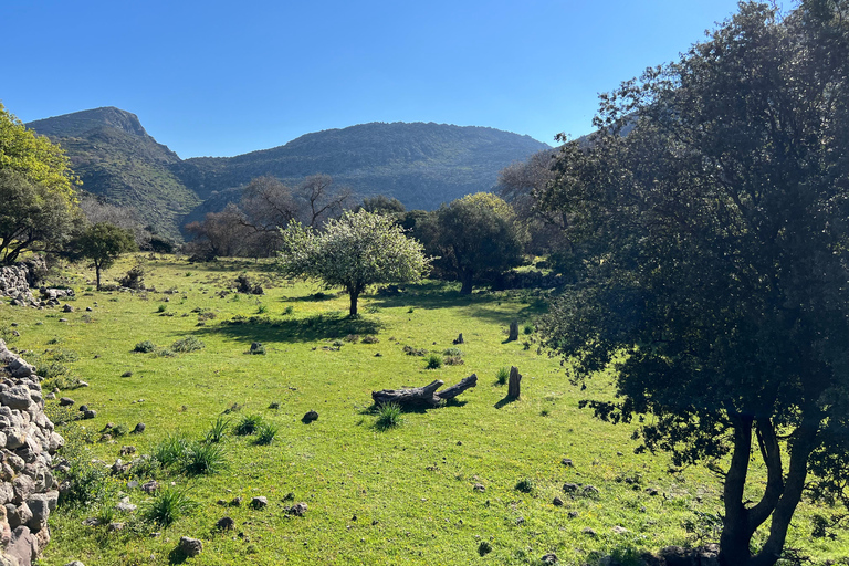 Excursión completa por Nisyros: Nikia, Volcán, Eborio, Mandraki.