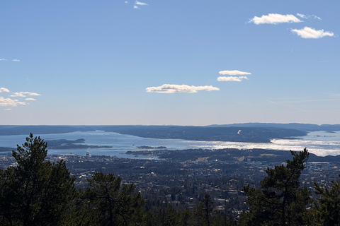 Vettakollen Viewpoint&Holmenkollen Ski Jump(Cruise-Friendly)