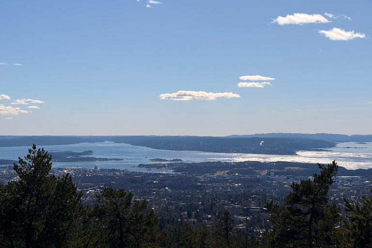 Vettakollen Viewpoint&Holmenkollen Ski Jump(Cruise-Friendly)