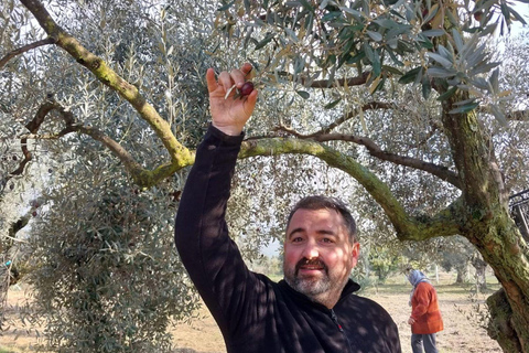 Kusadası: Countryside Tour with Lunch and Drinks