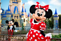Orlando: Walt Disney World Ticket with Park Hopper