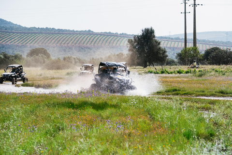 Albufeira: Off-Road Buggy Adventure Single Buggy