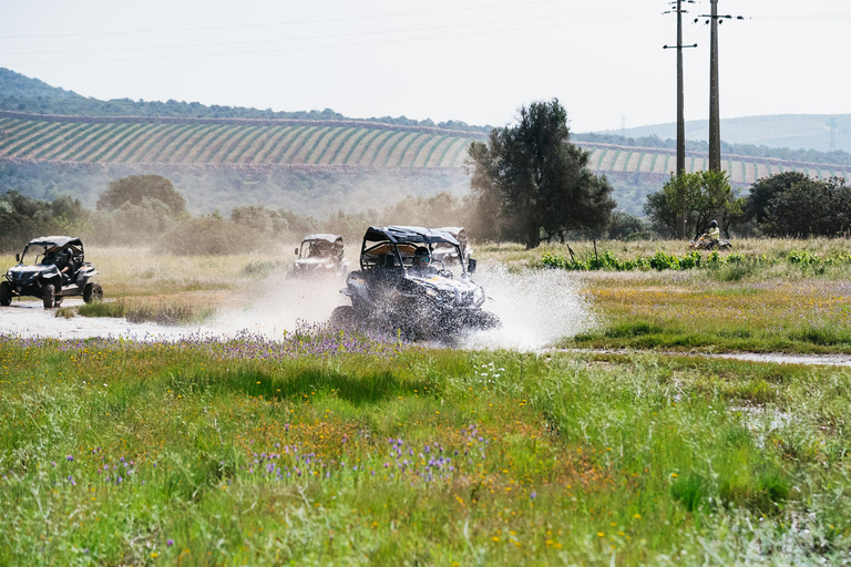 Albufeira: Off-Road Buggy AvontuurEnkele Buggy