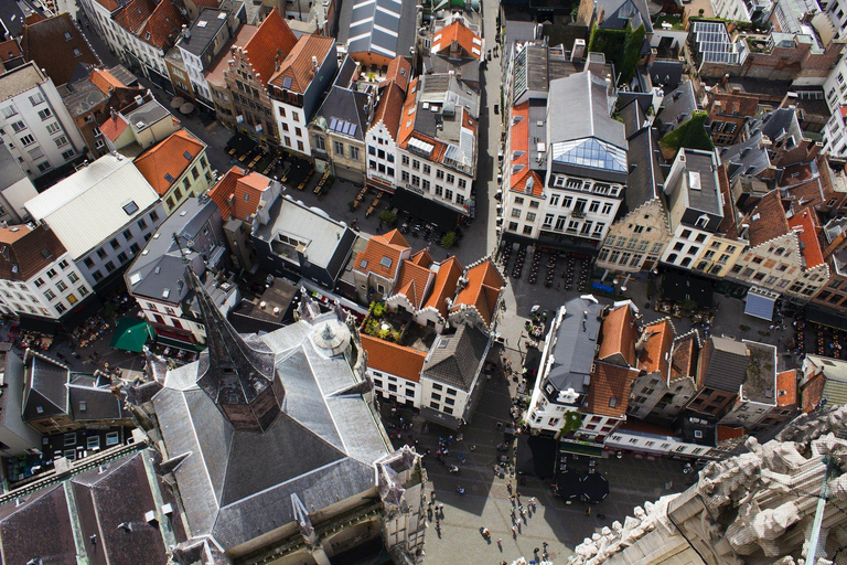 Tour di un giorno delle Fiandre con Turnhout, Hoogstraten e Kasterlee