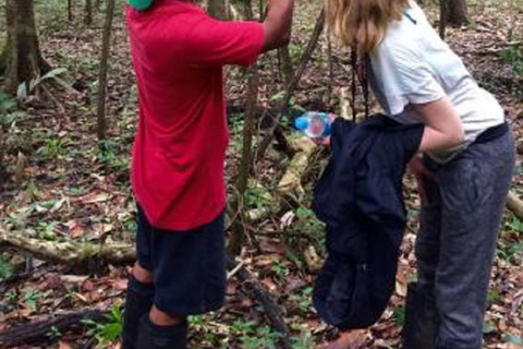 Overleven in de jungle