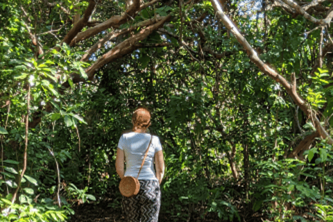 FROM NUNGWI/KENDWA:STONE TOWN, PRISON ISLAND & JOZANI FOREST Private tour include hotel pick up and drop off