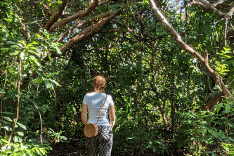 FROM NUNGWI/KENDWA:STONE TOWN, PRISON ISLAND & JOZANI FOREST Private tour include hotel pick up and drop off