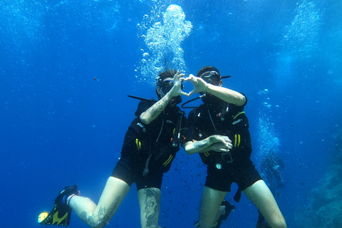 Malte : Baptême de plongée sous-marine en Français