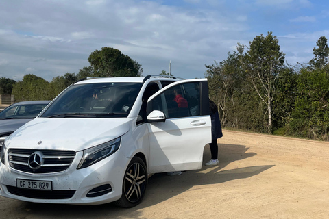 Cape Town: Table Mountain Cableway Ticket