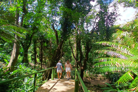 Nadi VIP Tour: Culture, Mud Baths, Massage & Lunch Nadi Airport Transit Zone & Votualevu