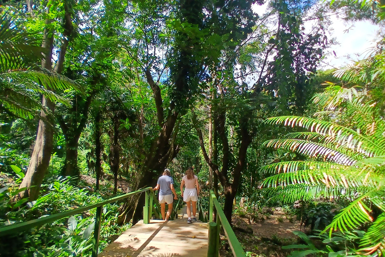 Nadi VIP Tour: Culture, Mud Baths, Massage & Lunch Nadi Airport Transit Zone & Votualevu