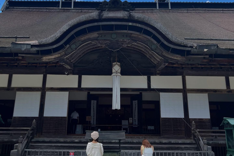 From Osaka/Kyoto: Mt. Koya & Nachi Falls Private Day Trip