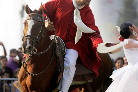 From Trujillo | Marinera show with Peruvian Paso horses