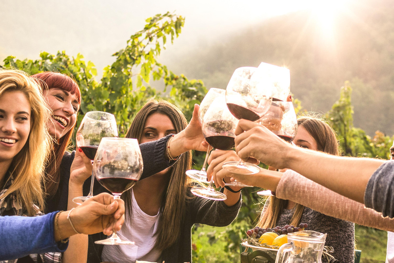 San Diego: Chauffeured Winery Tour with Full Meal