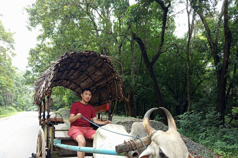 Colombo: Sigiriya Rock and Dambulla Cave Temple Day Trip