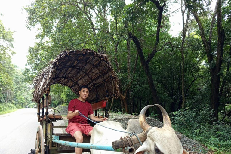 Colombo: Sigiriya Rock and Dambulla Cave Temple Day Trip