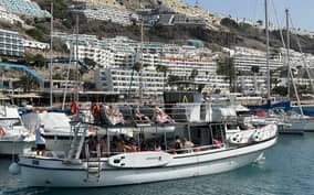 - Canarie.it