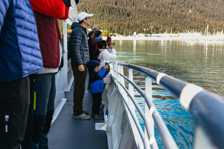 Seward: Kenai Fjords National Park Glacier Cruise w/ Lunch 8:00 AM Departure