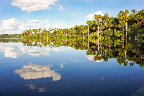 Puerto Maldonado: 2-Day Lake Sandoval Nature Tour