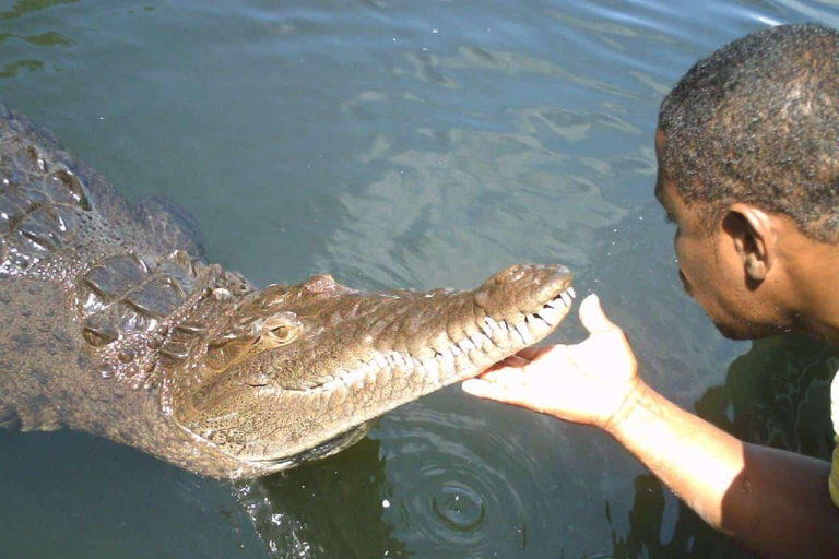 Tour e trasporto del Black River Safari e delle cascate di YsDa Falmouth/ Trelawny