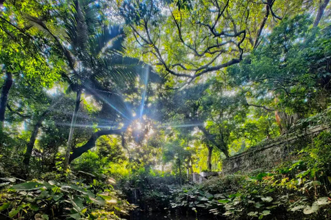 GuangdongFoshan:Xiqiao Mountain Entry Ticket