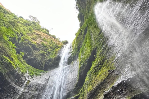 Madakaripura Wasserfall, Bromo Sonnenaufgang &amp; Ijen Krater (3D/2N)