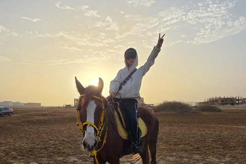 Hurghada: 1 HR Red Sea Swimming with Horses with Transfers Exclusive Family Package – 1 HR with Swimming & Transfers