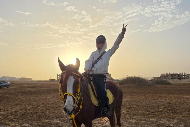 Hurghada: 1 HR Red Sea Swimming with Horses with Transfers Exclusive Family Package – 1 HR with Swimming & Transfers