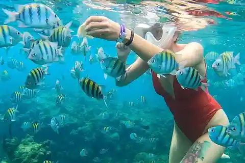 Snorkeling in Montego Bay with Transportation