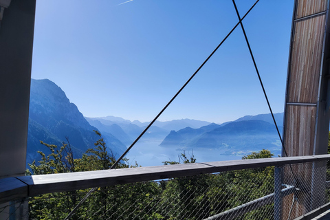 From Vienna: Hallstatt and Treetop Path Private Day Trip