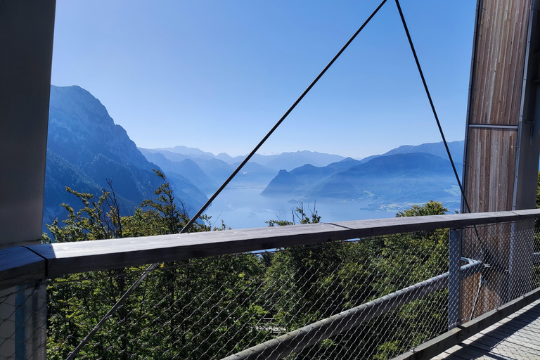 From Vienna: Hallstatt and Treetop Path Private Day Trip