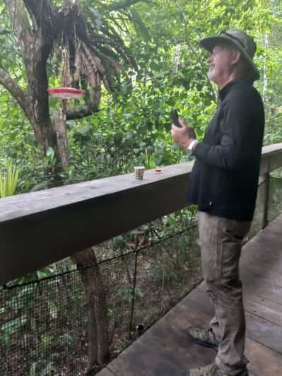 Galería de fotos para redes