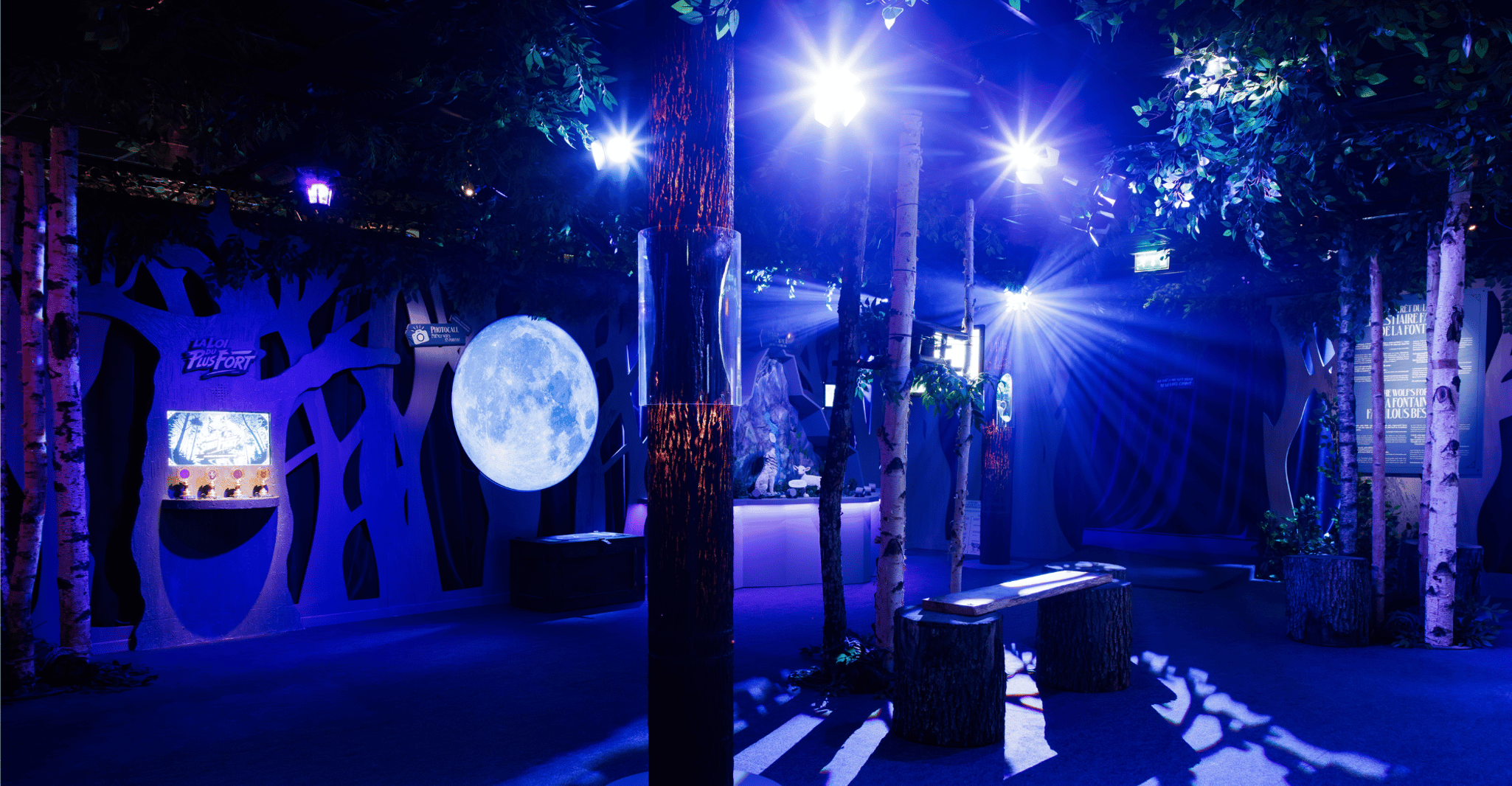 Immersive City of Fables - Admission ticket photo 6