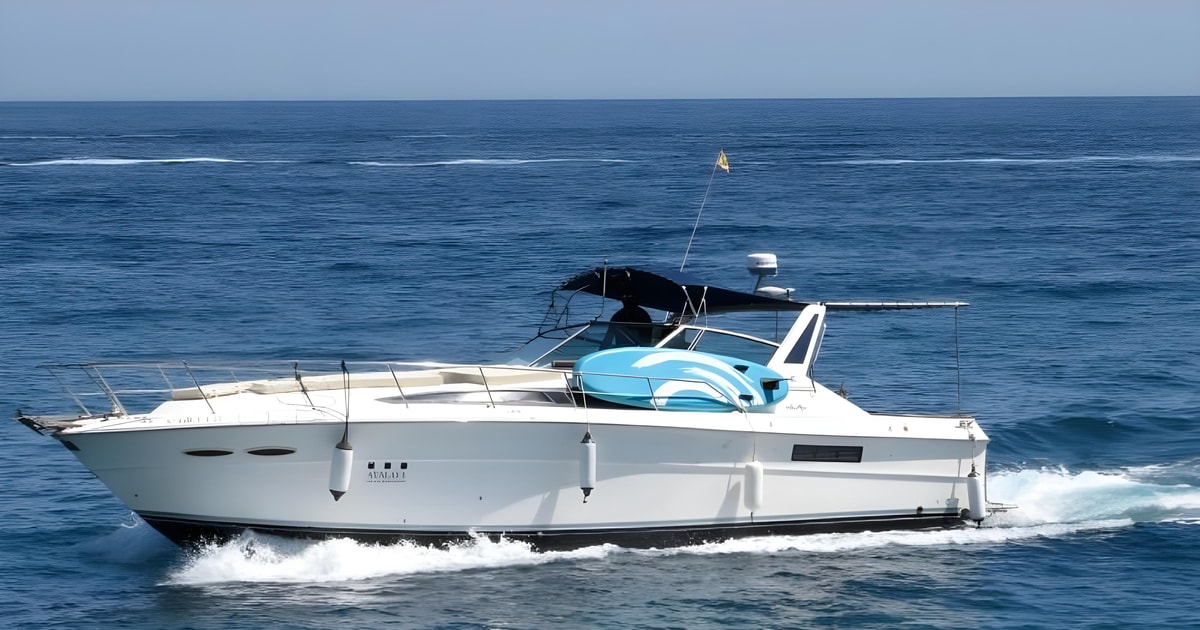 puerto banus yacht rental