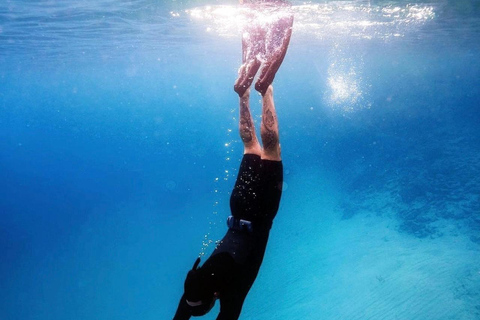 Cannes, Lérins Islands: Visit the eco-museum with a water jet propulsion system Full day