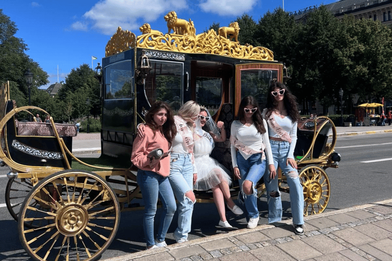 Visite guidée du musée Vasa avec billet d&#039;entréeMusée Vasa et visite guidée en calèche avec billet d&#039;entrée