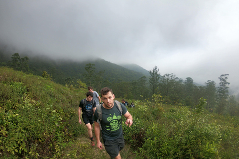 Kandy: Waterfalls and Local Village Day Tour with Lunch