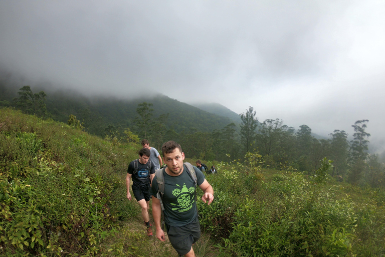 Kandy: Excursión de un Día a las Cascadas y la Aldea Local con Almuerzo