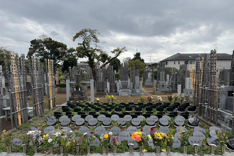 Visite de Yanaka et Sendagi : Découvrez le charme de la vieille ville de Tokyo