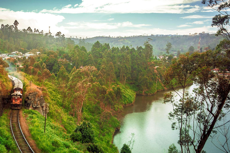 Ambewela to Kandy Scenic Highlands Tour via Nuwara Eliya