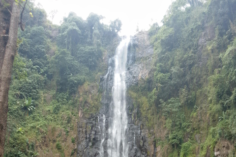 Materuni Waterfalls, Coffee tour, Hot Springs &amp; Maasai Villa