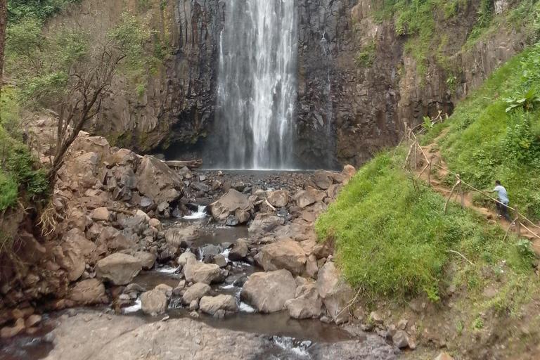 Cataratas de Materuni, excursão ao café, fontes termais e Villa Maasai