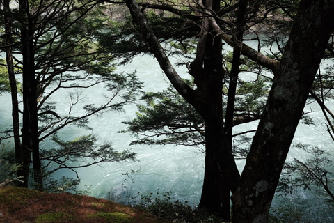 عروض خاصة لخريف ناغانو: كاميكوتشي ومزرعة ومصنع النبيذ واسابيرحلة ليوم واحد إلى كاميكوتشي الجبلية +