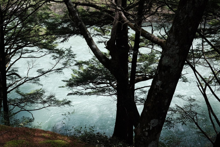 عروض خاصة لخريف ناغانو: كاميكوتشي ومزرعة ومصنع النبيذ واسابيرحلة ليوم واحد إلى كاميكوتشي الجبلية +