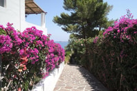 From Lipari, Panarea and Stromboli Cruise with Stops - Housity