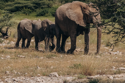 Samburu National Reserves: Optional Village Tour & Swimming